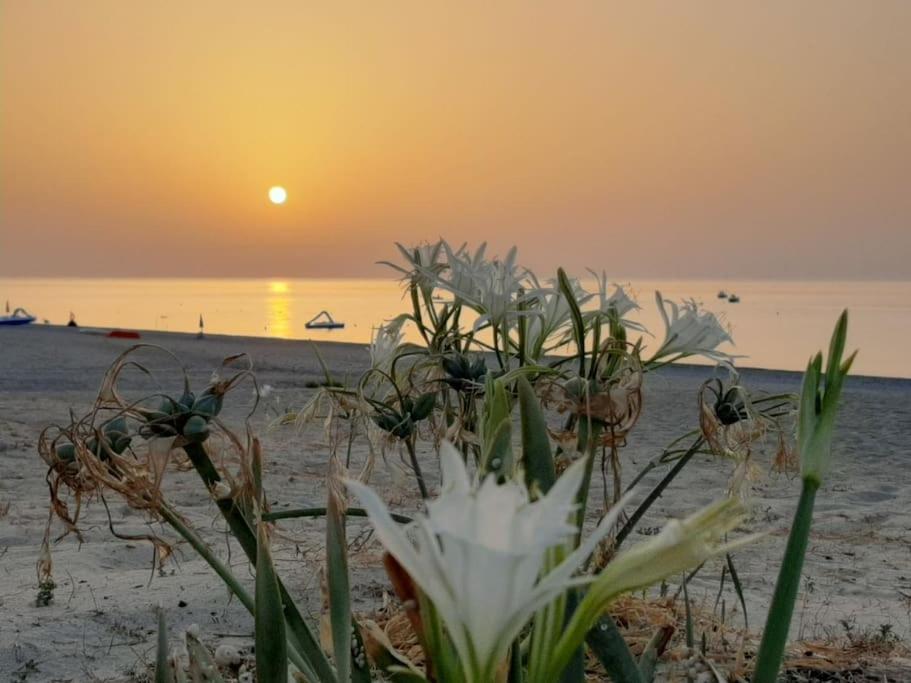 Ferienwohnung Casa Lulu Due Minuti Dal Mare Ardore Marina Exterior foto