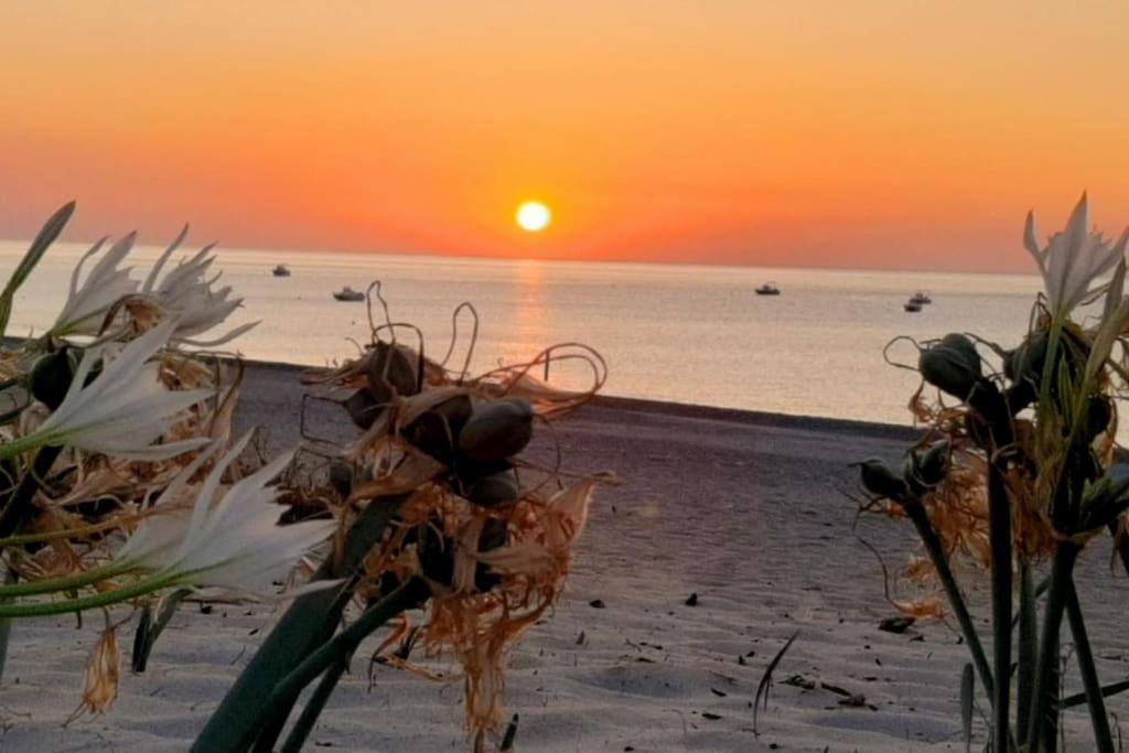 Ferienwohnung Casa Lulu Due Minuti Dal Mare Ardore Marina Exterior foto